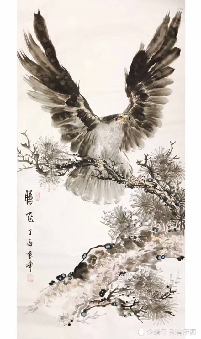 Ning新星持续失利表现突出，老鹰前途光明！