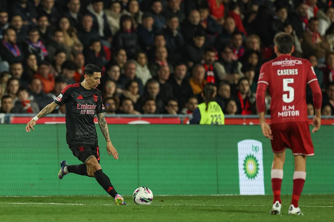 今晨阿森纳备战葡超，门线救险细节曝光，震撼外界，细节决定成败的简单介绍