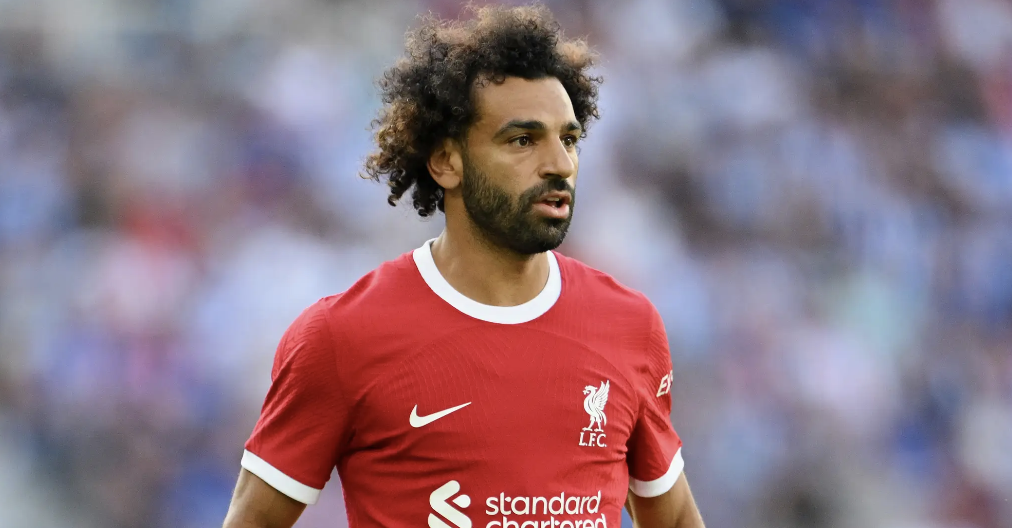 转会期夏洛特黄蜂豪取连胜——社区盾节点到来，压力陡增，赛季目标并未改变